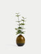 Artificial Eucalyptus in Ceramic Pot